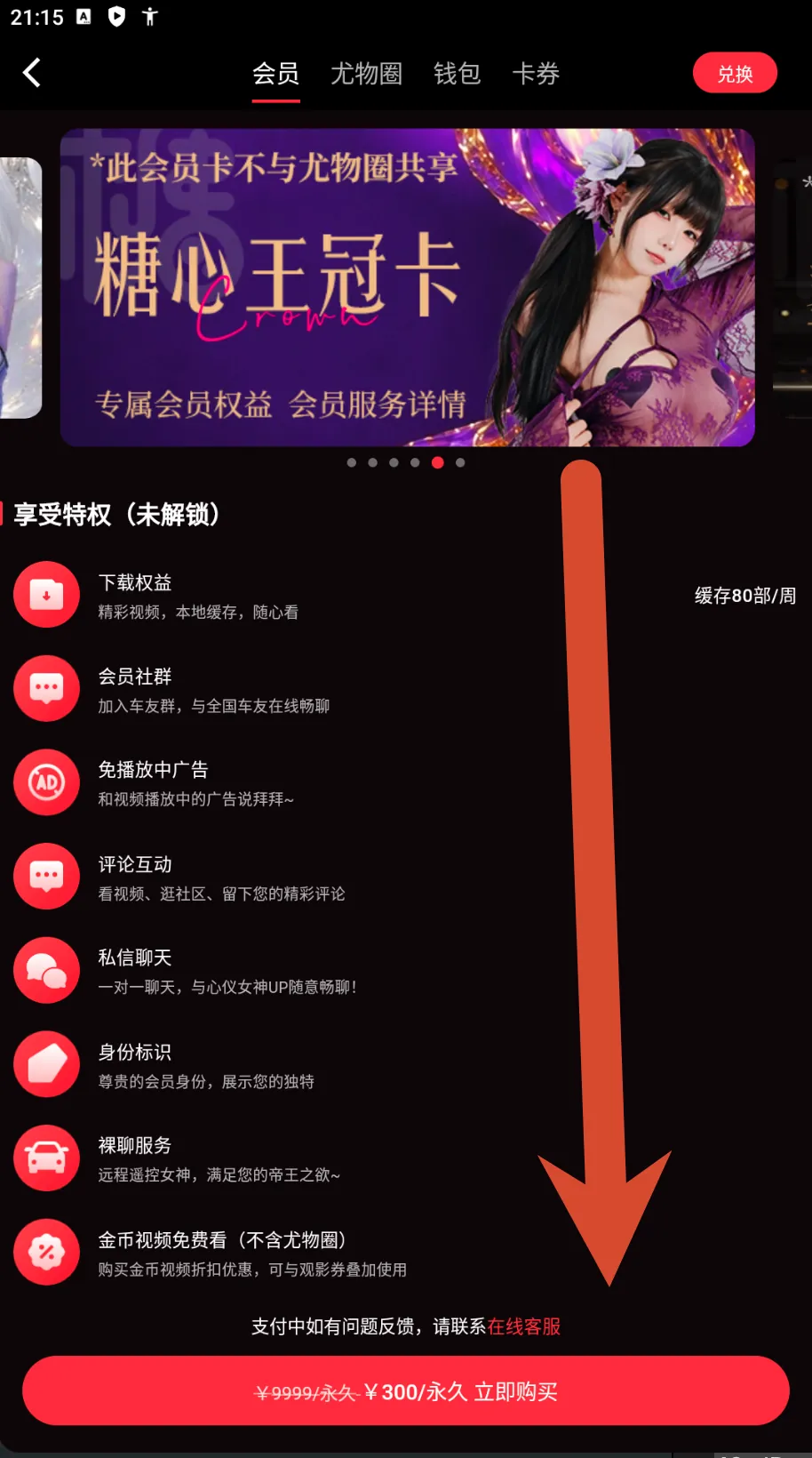 糖心Vlog皇冠会员卡价格截图